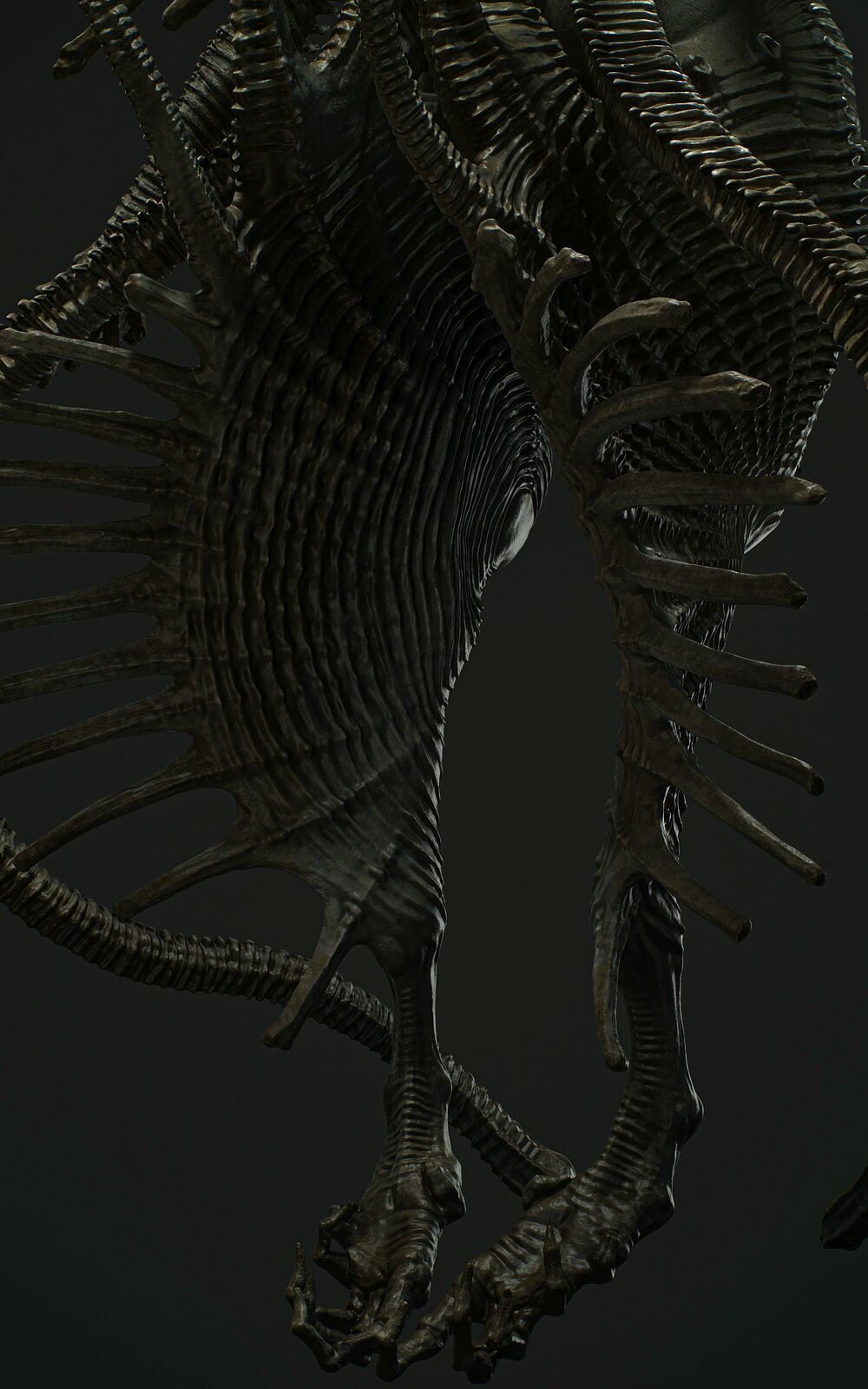 Partially2_Cold_Symmetry_0011