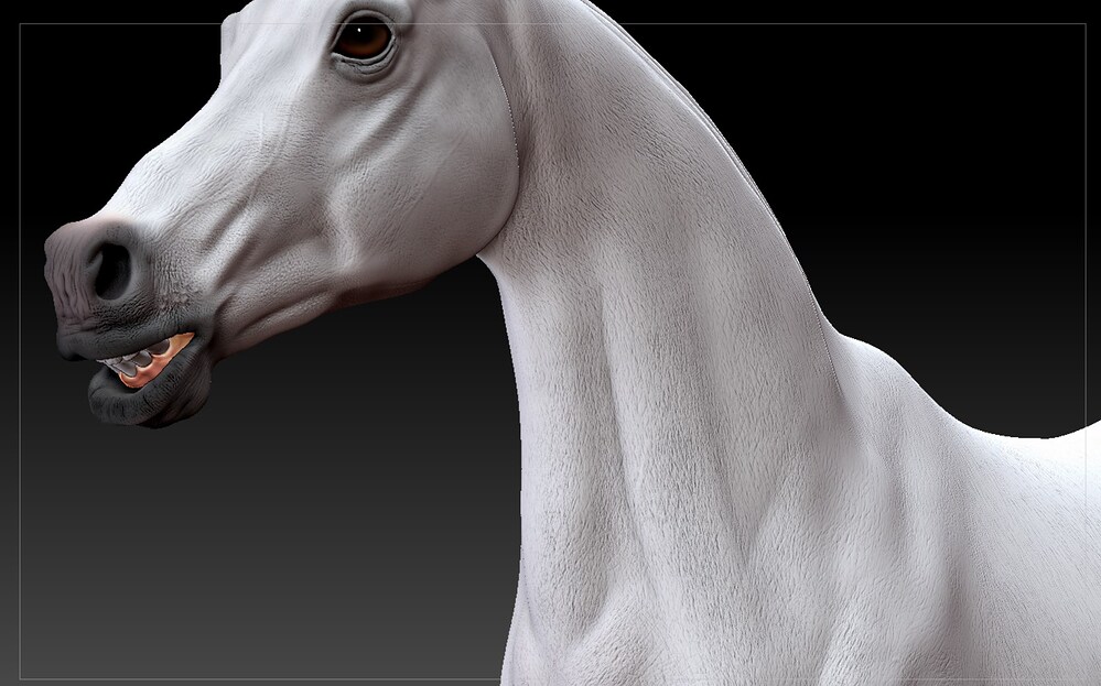 ZBrush_OWppnh75Xv