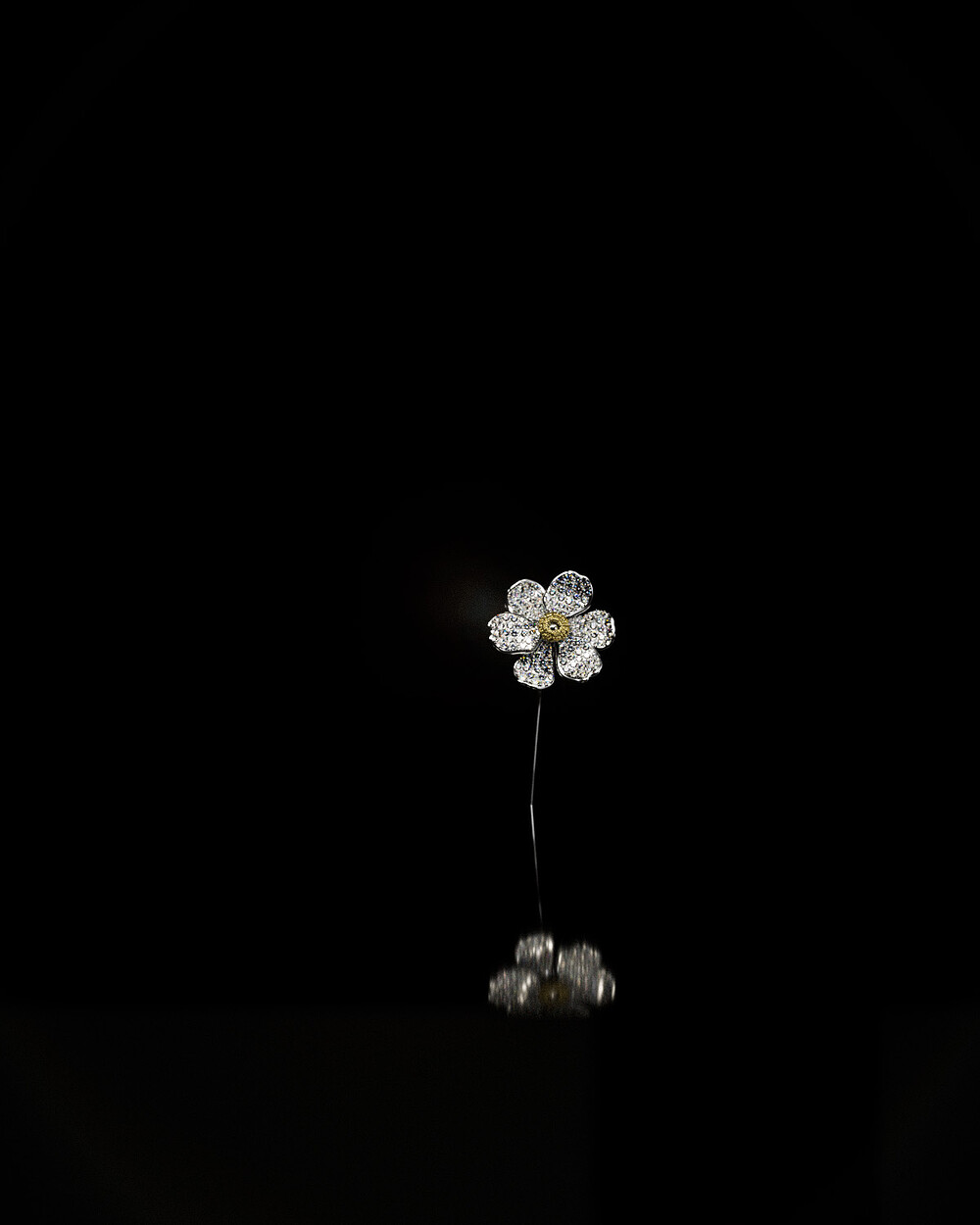 05_Flower_002