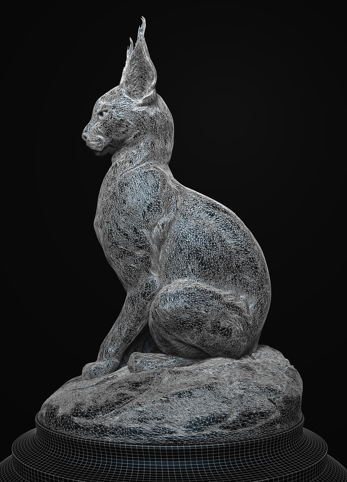 Wired%20Caracal_1