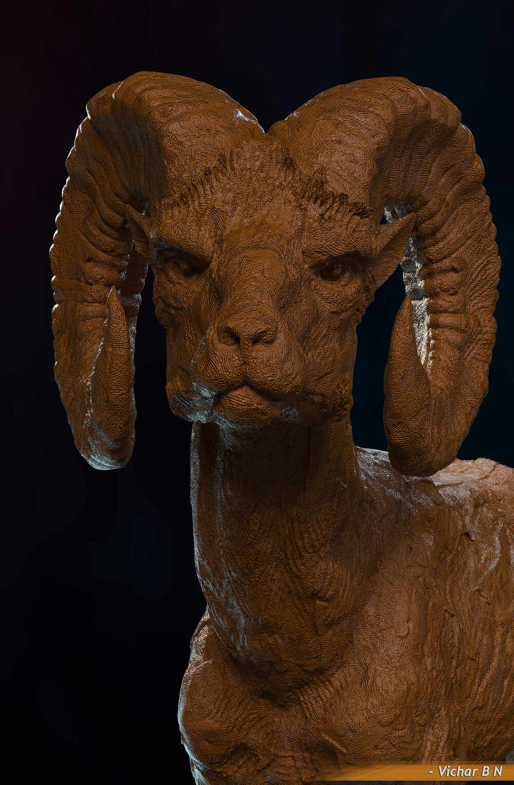 Bighorn sheep_02