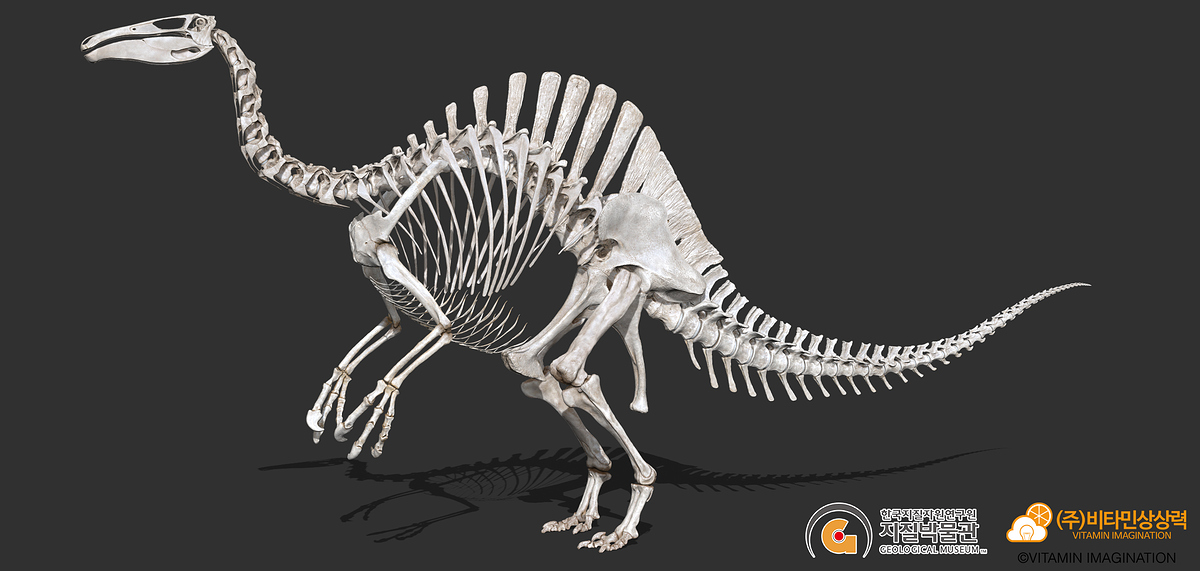 ZBrush_Document1