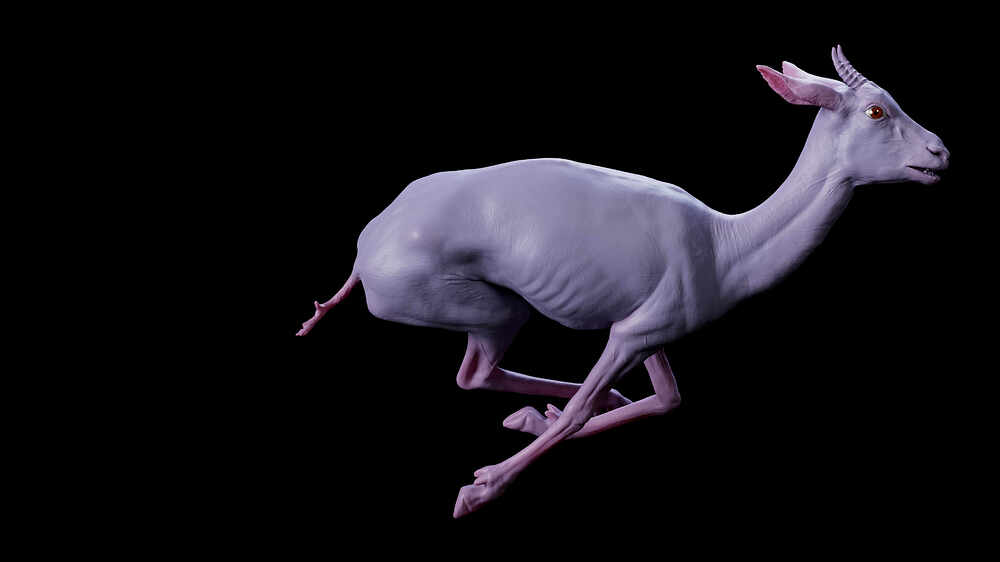 1003