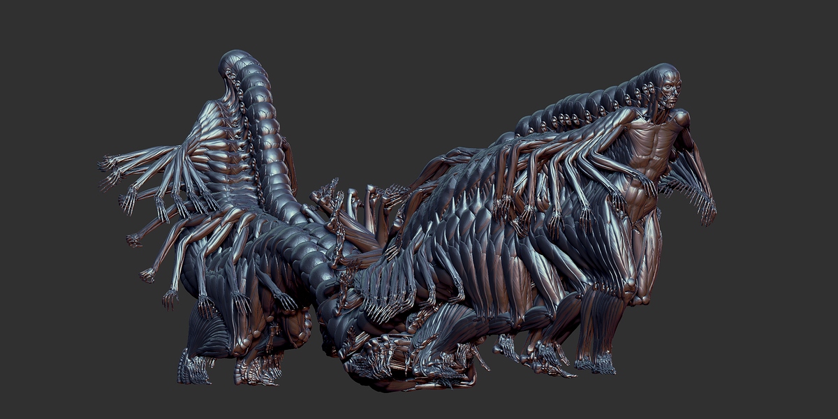 bone01