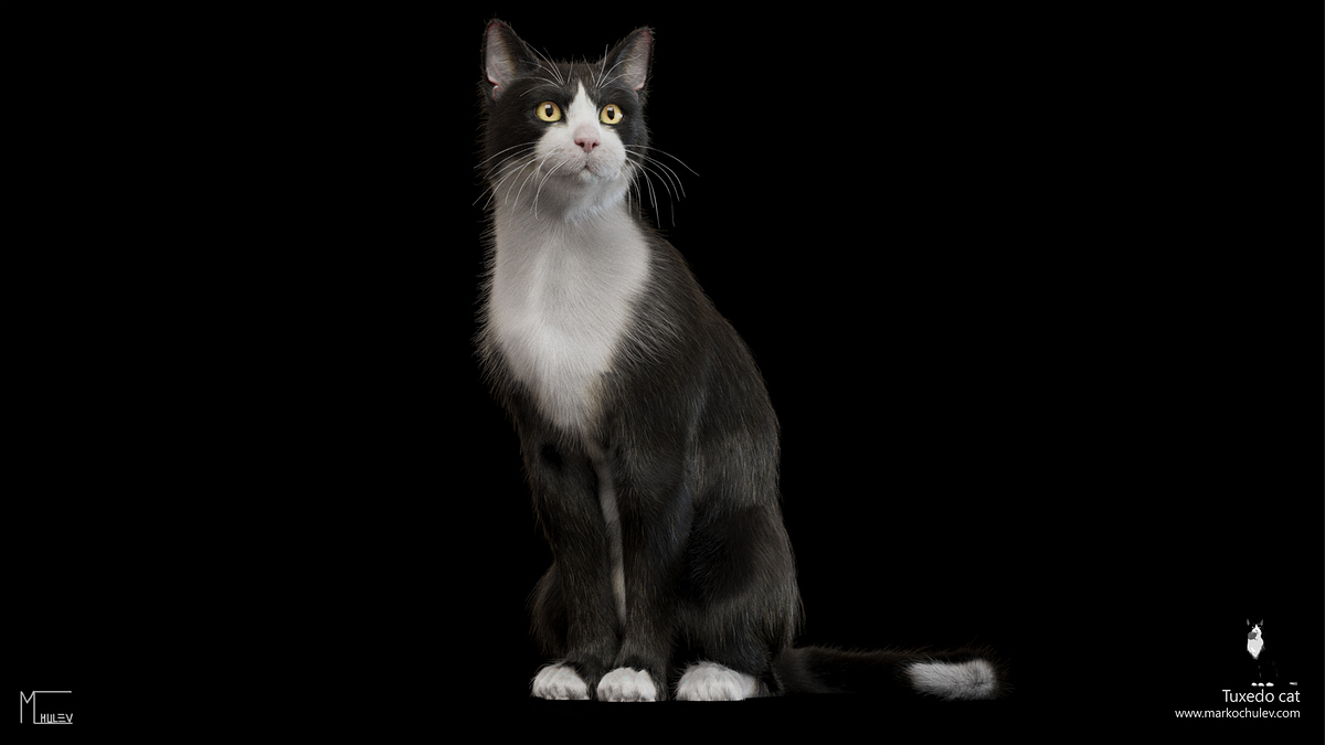 TuxedoCat.v1.1