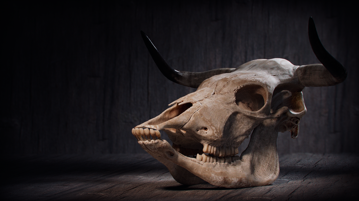 bull_skull_render_01