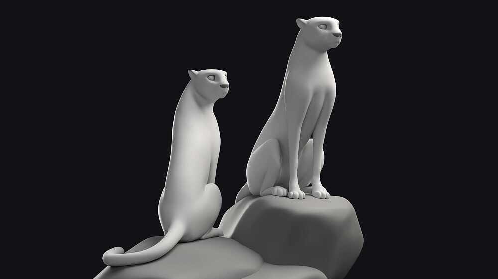 Cheetahs_04