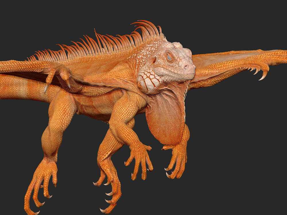 Tam_ZBrush_01