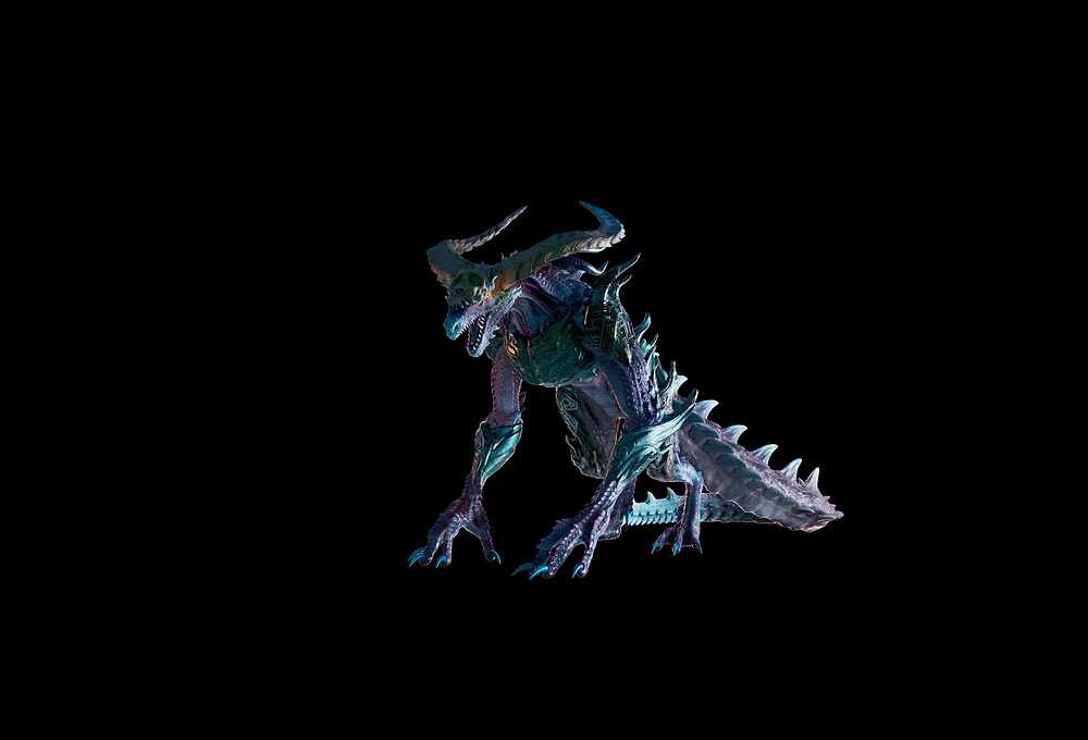 draogn.0069