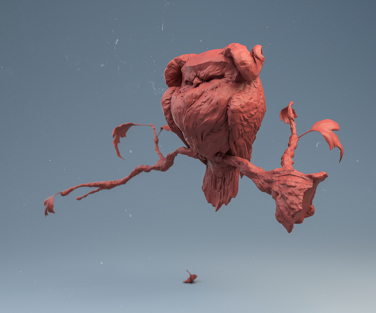 OWL_Cld