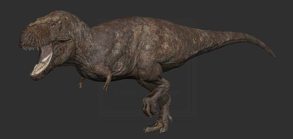 ZBrush Document4