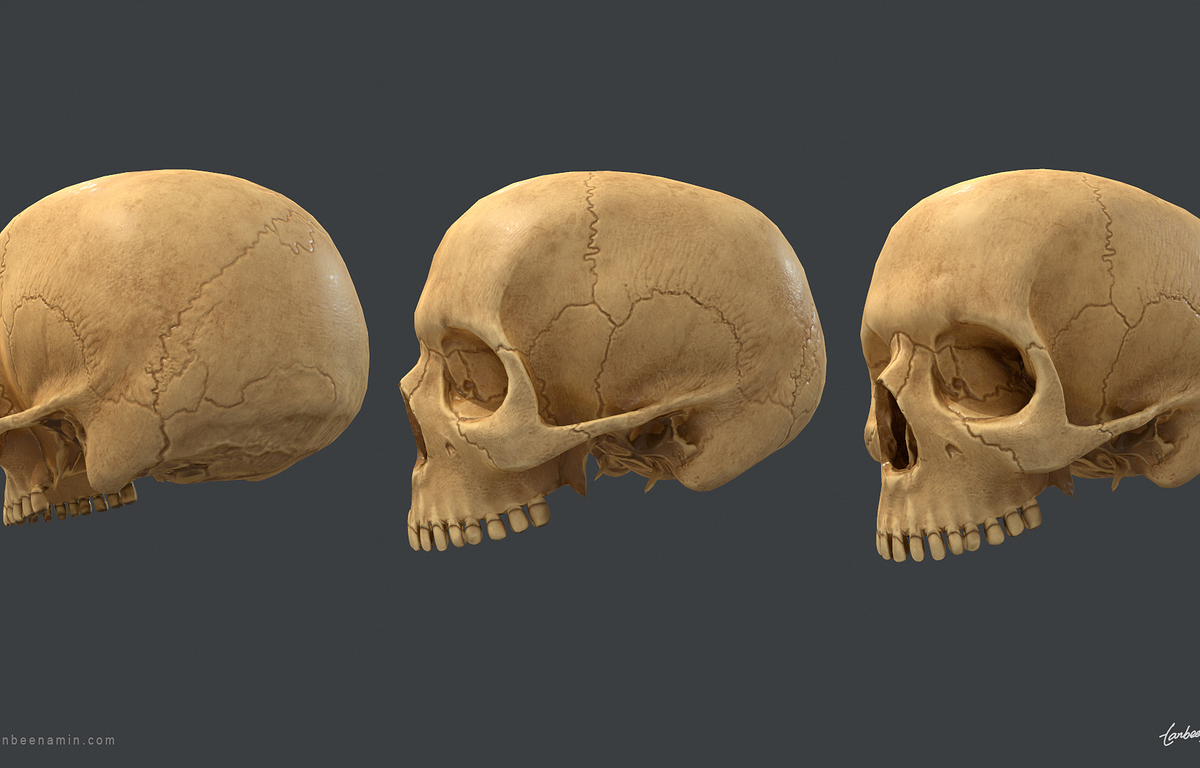 tanbeen-skull-anatomy-study-5-8156a168-6fv5.jpg