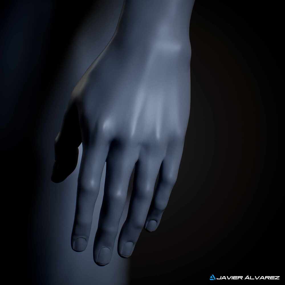 MaleAnatomyJAlvarez_6