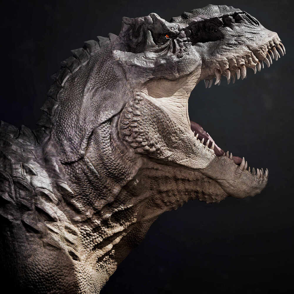 rex2