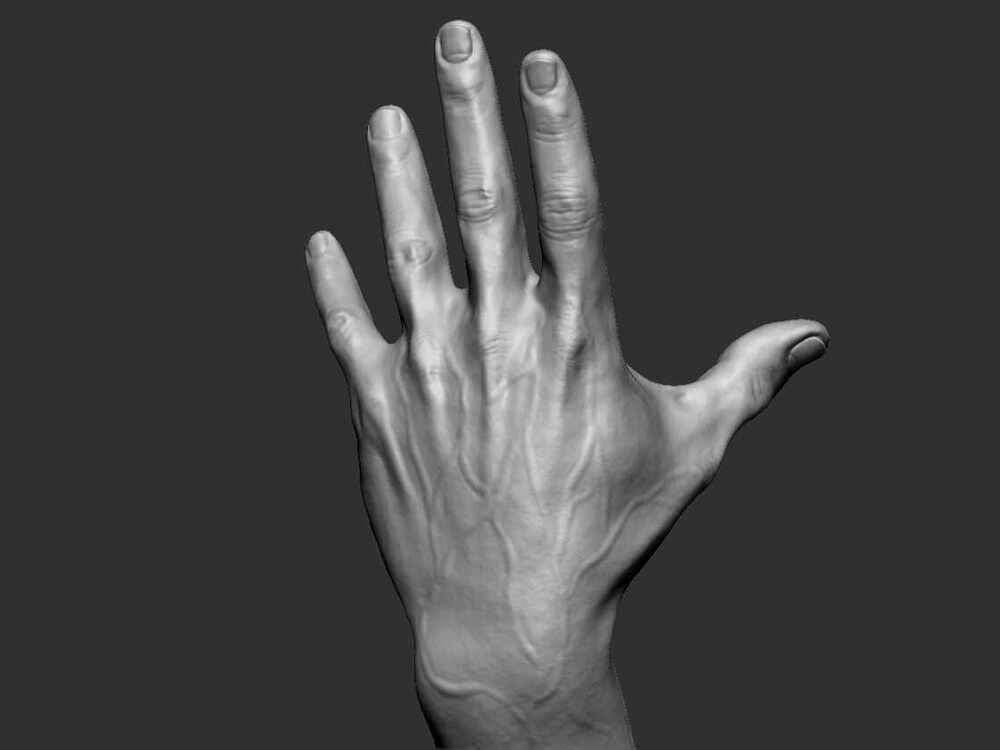 hAND02