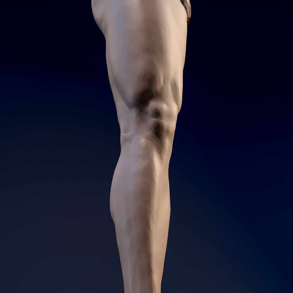 Leg_Straith_Cam_07