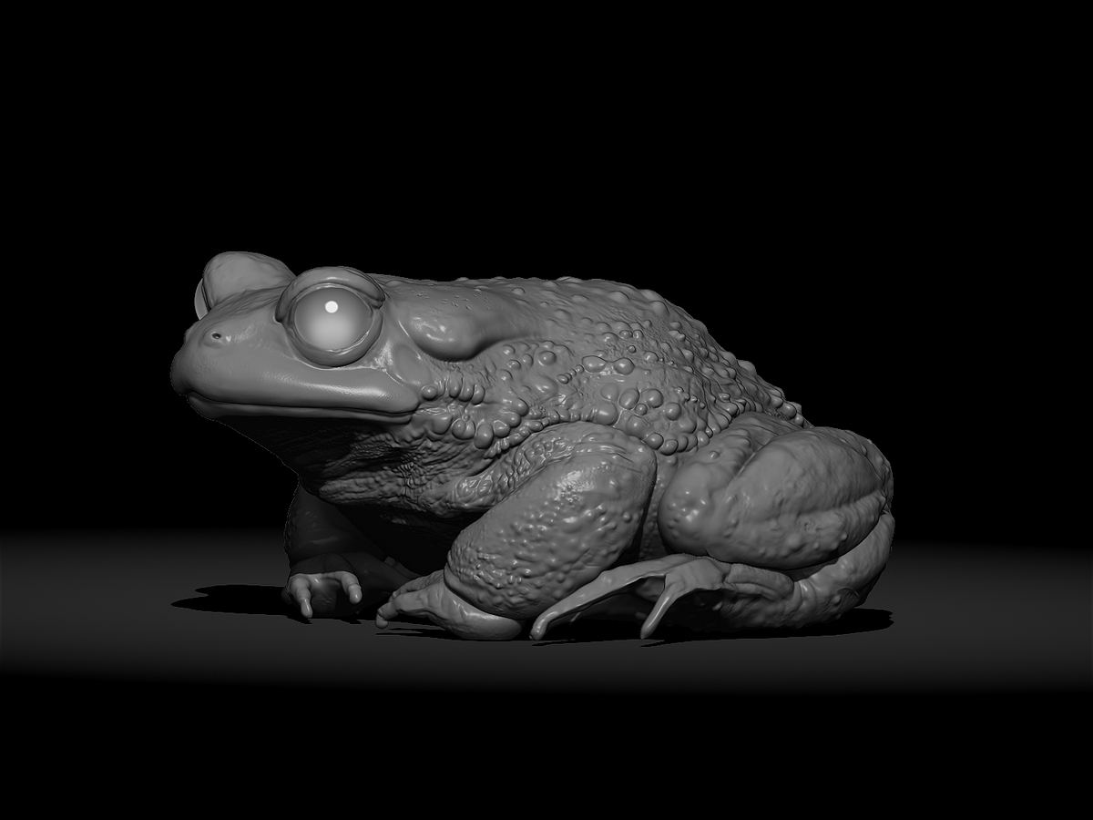 Garden frog Side