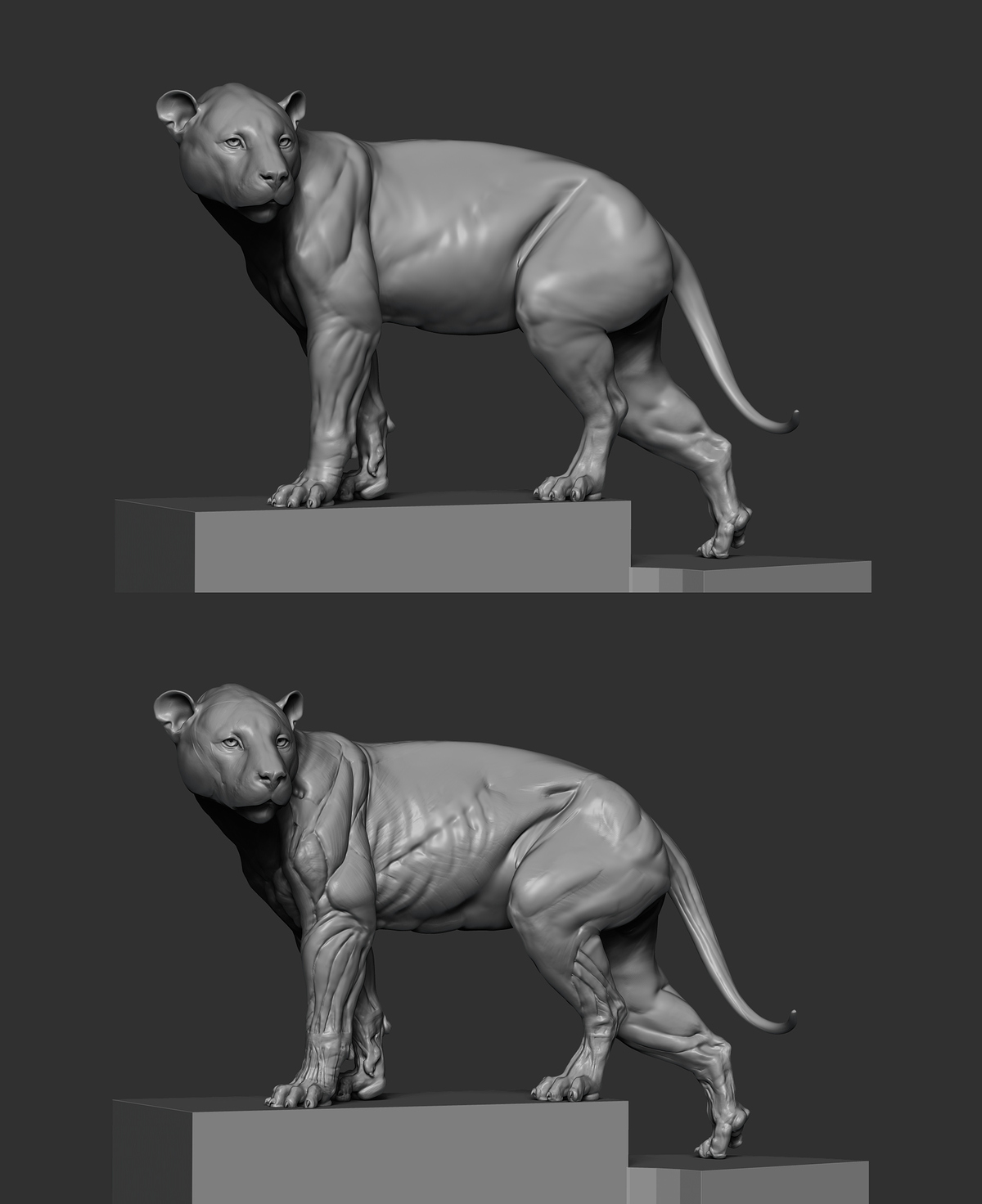 pantherOnca_002_posing