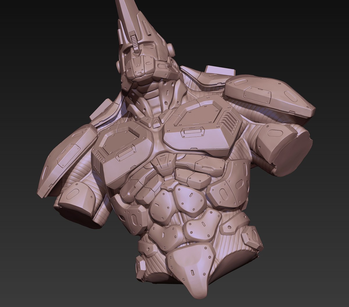 rhino_high_14