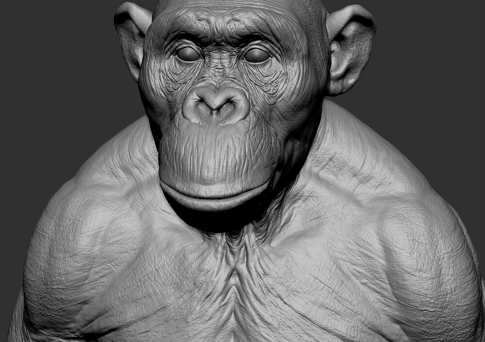 clay 02