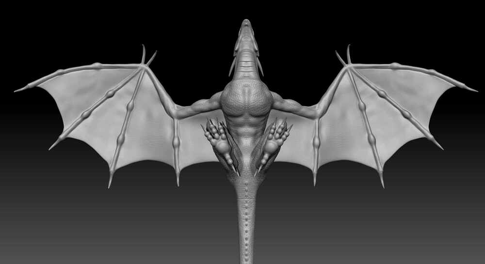 Dragon_11
