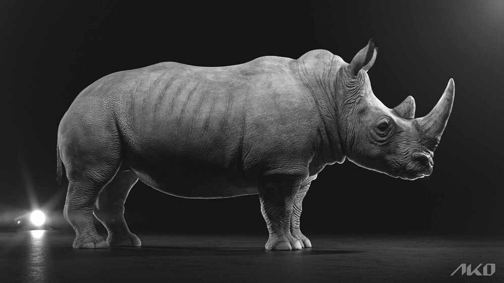 2.Rhino_Shot_01_B&W_v01