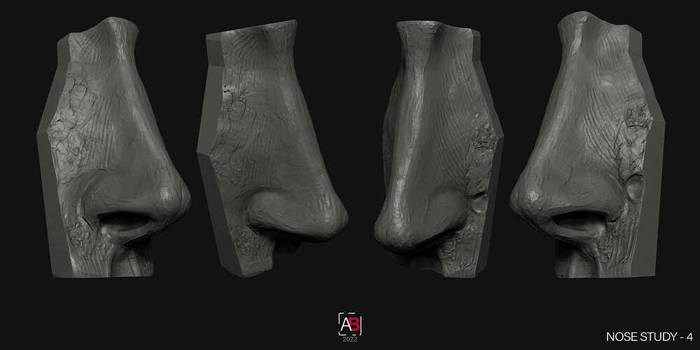 Nose Study_4