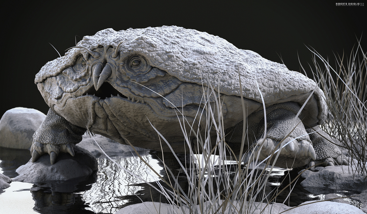 Cancericatus2_clay