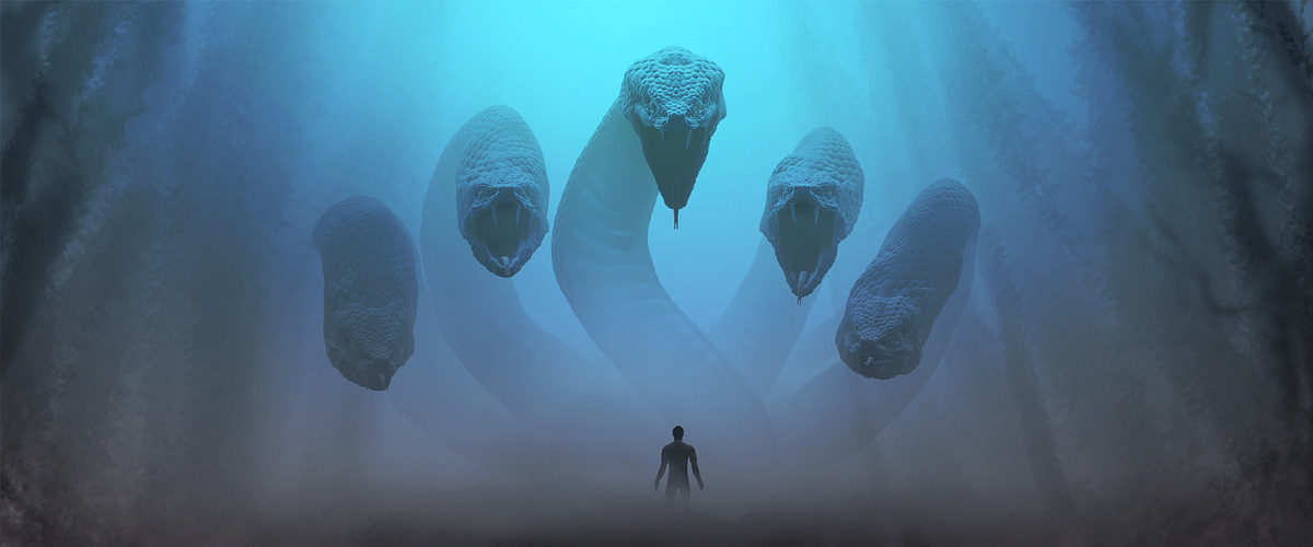 191020_snake_low