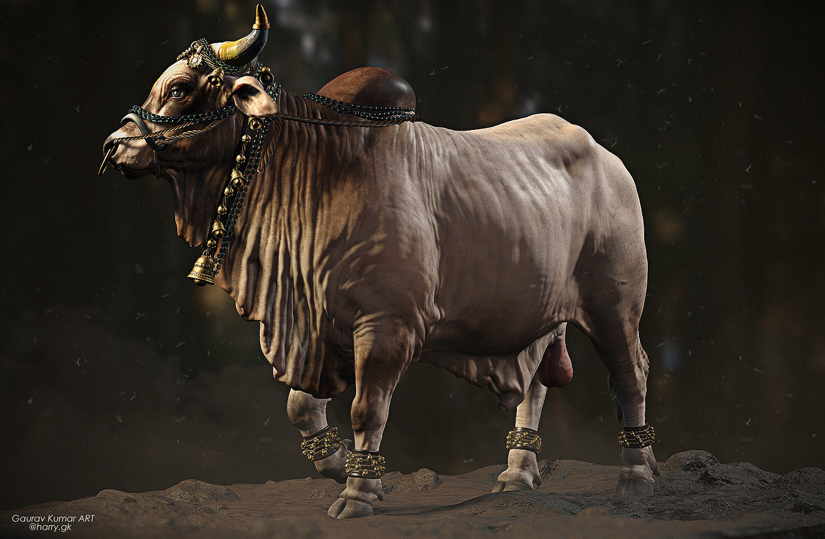 Bull__004