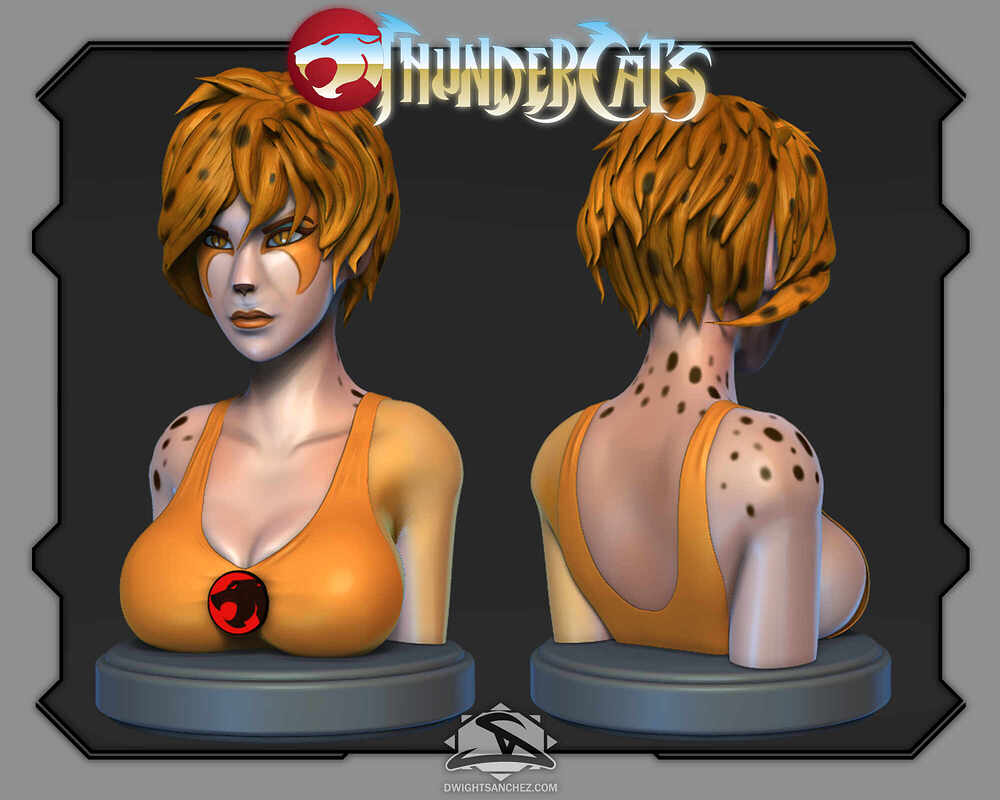 cheetara2