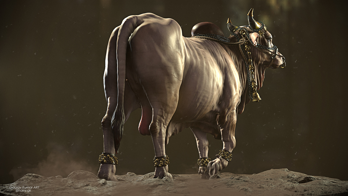 Bull__001