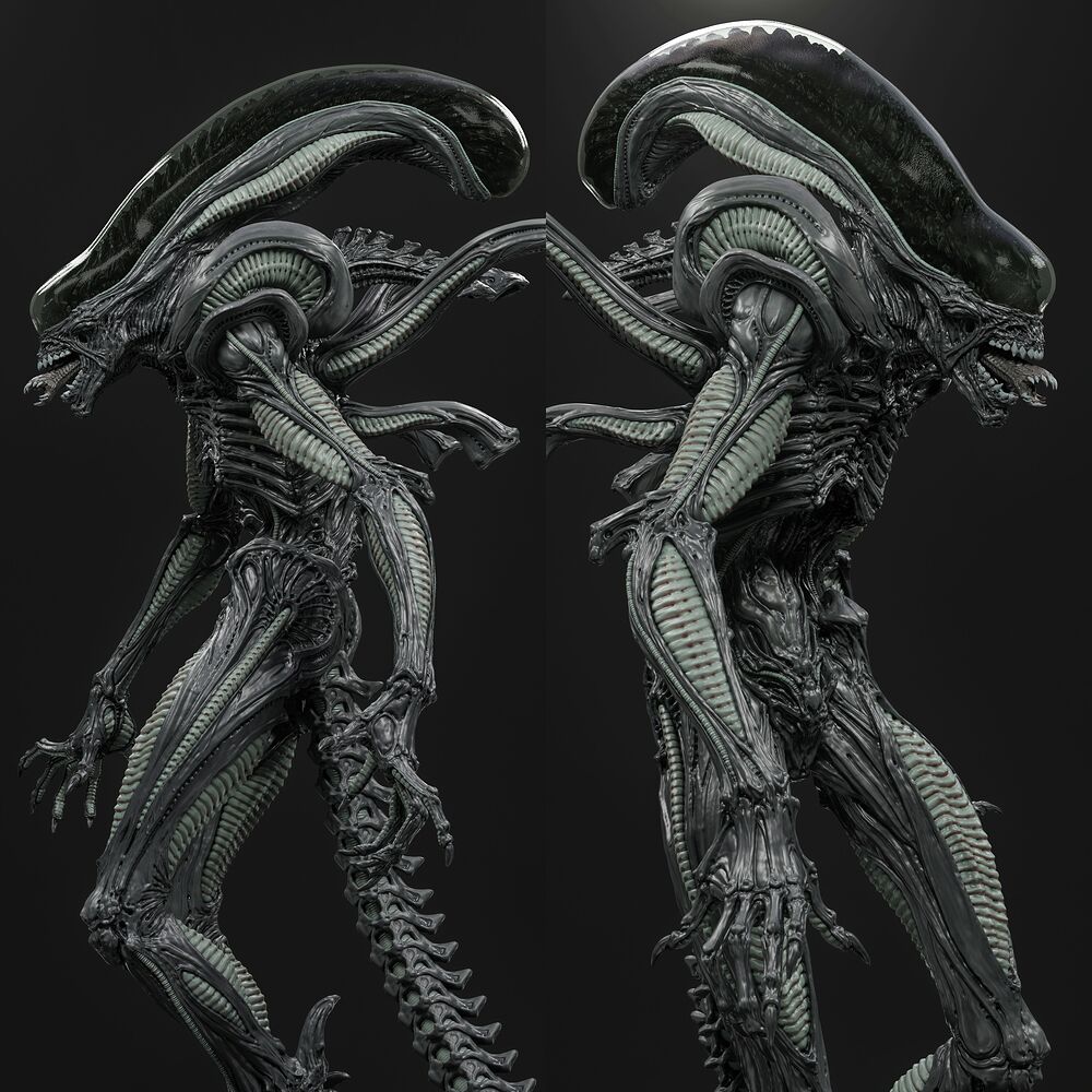X_010