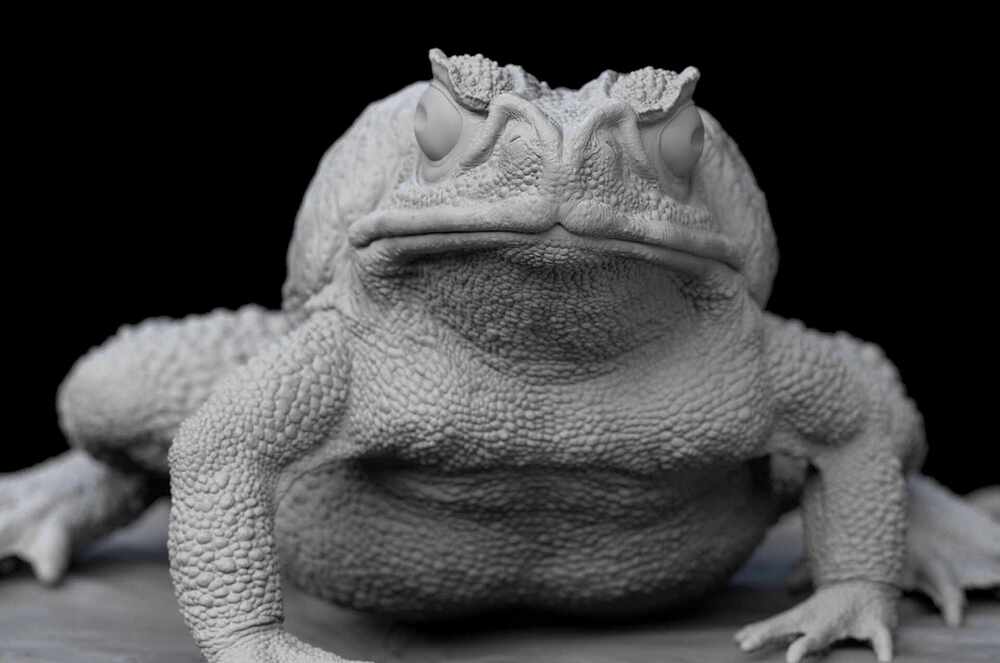 toad13.59