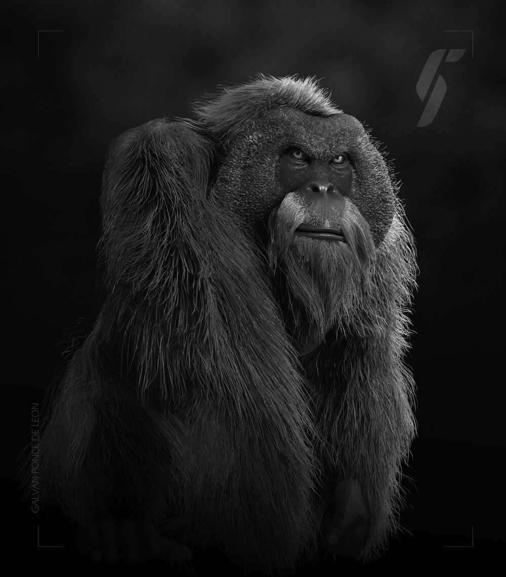 orangtun_001_bw_2023