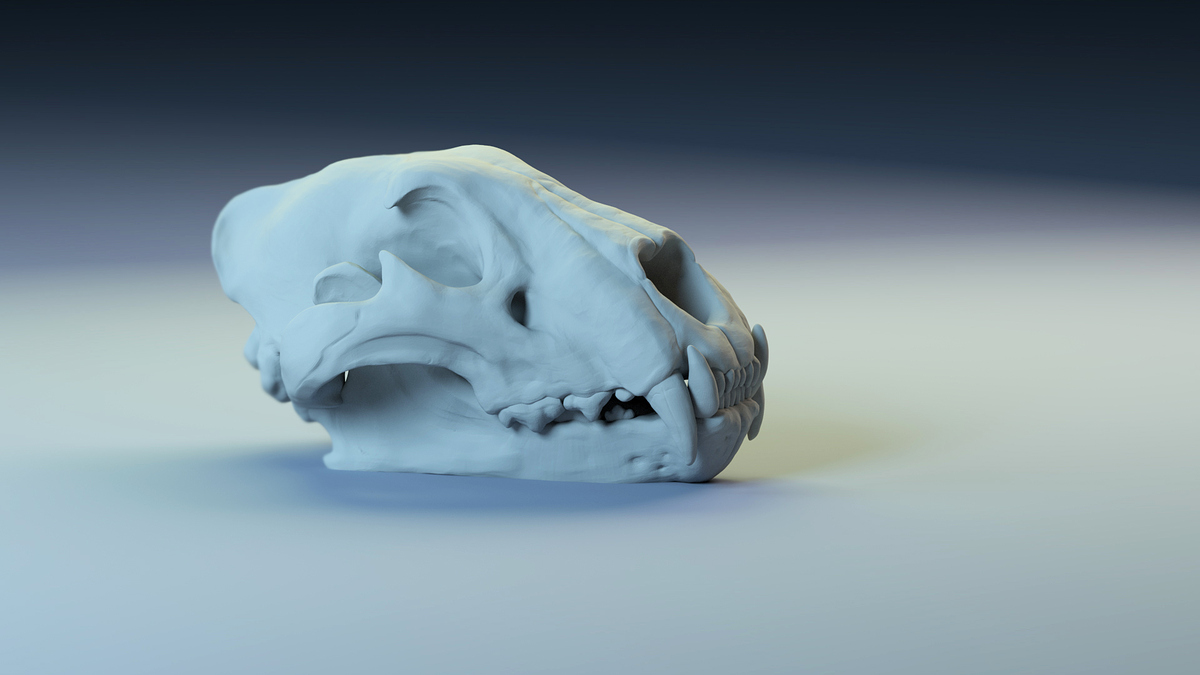 %20Skull%201