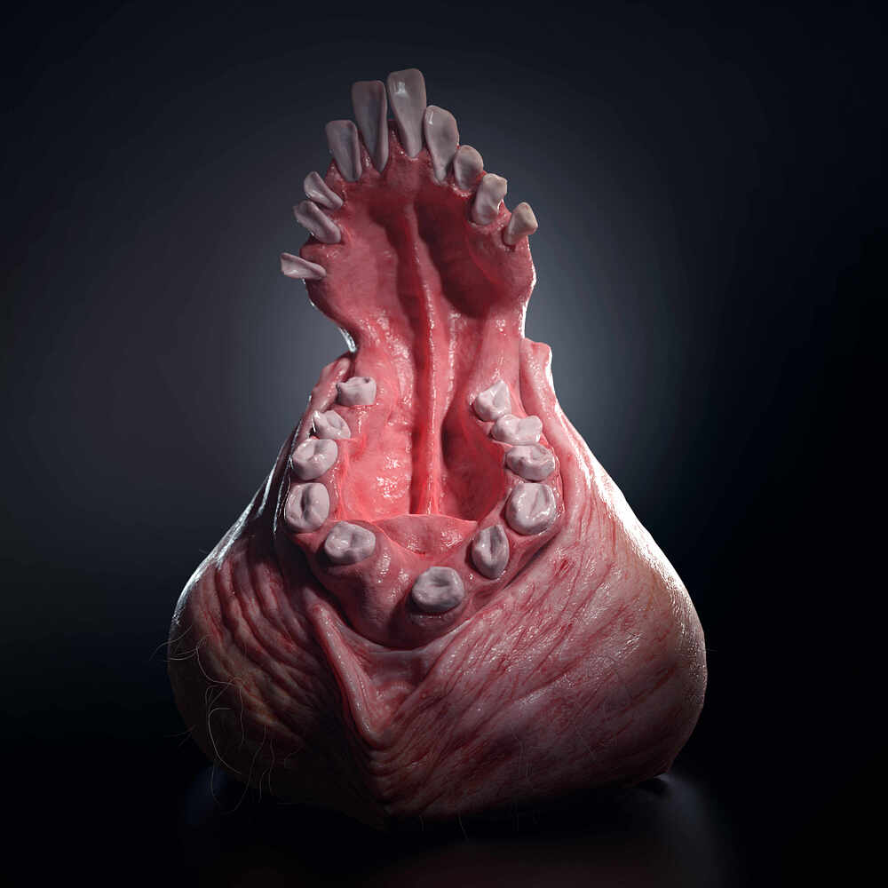 Alien-Teeth_03