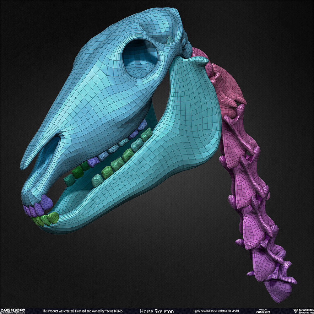 Highly Detailed Horse Skeleton 3D Model Sculpted by Yacine BRINIS Set 069
