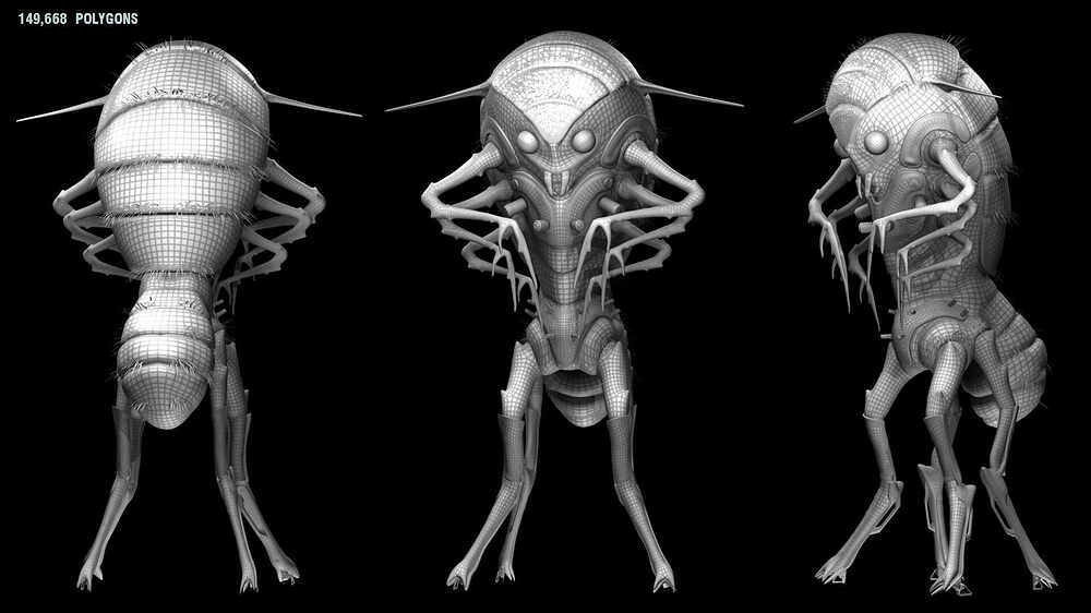 Barrybug6