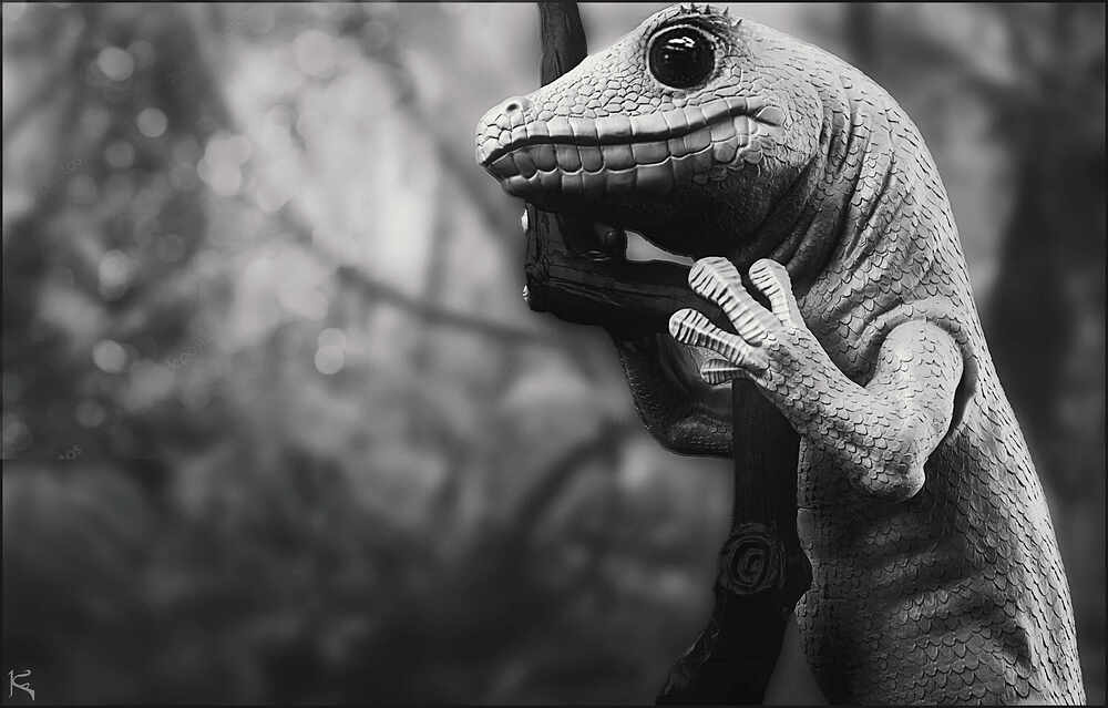Gecko_Sketch_1001_BW2