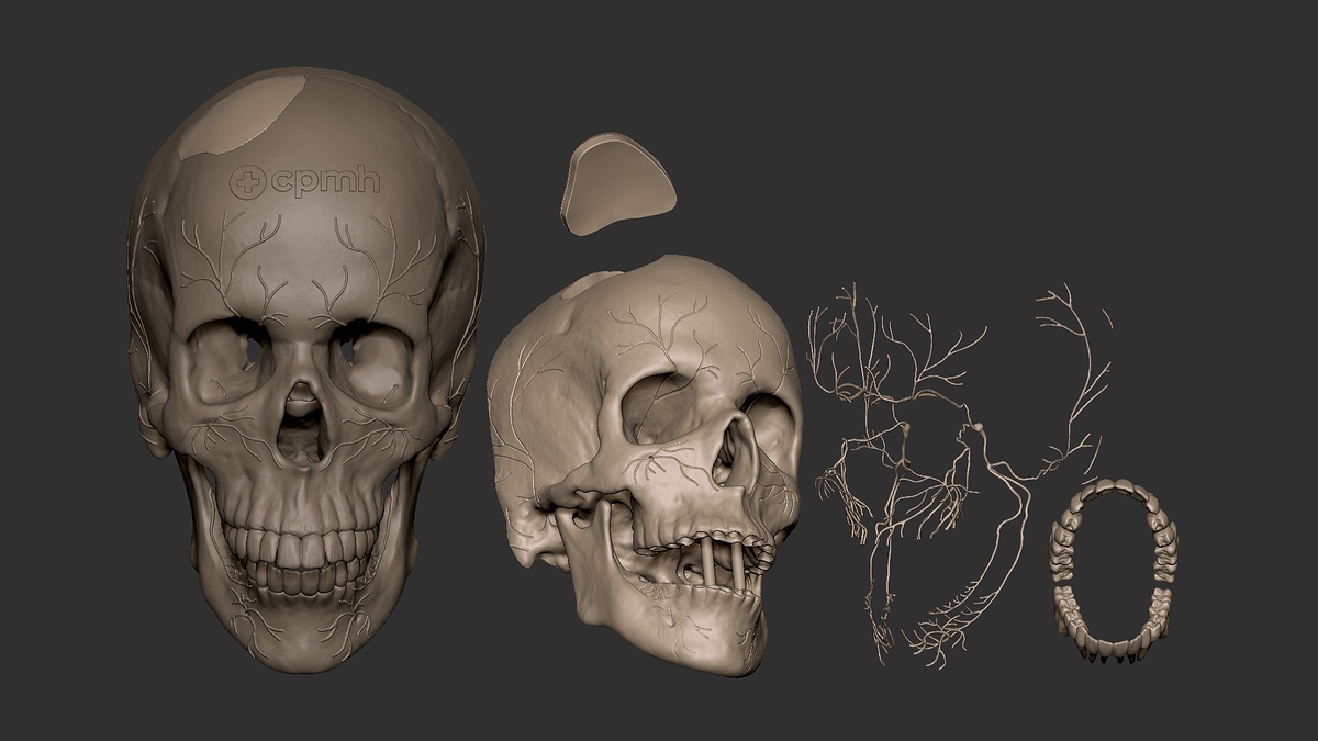 ZBrush_Document
