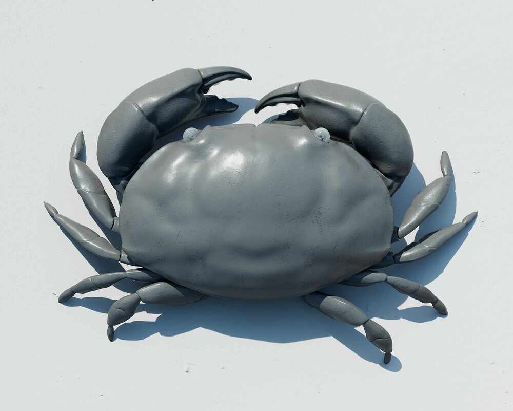 shawlCrab_03