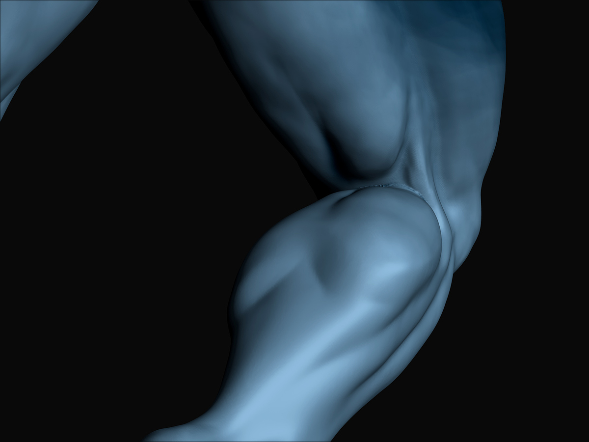 40 Zbrush