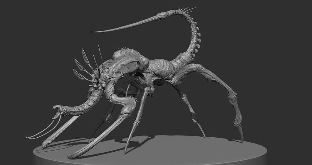 ZBrush Document