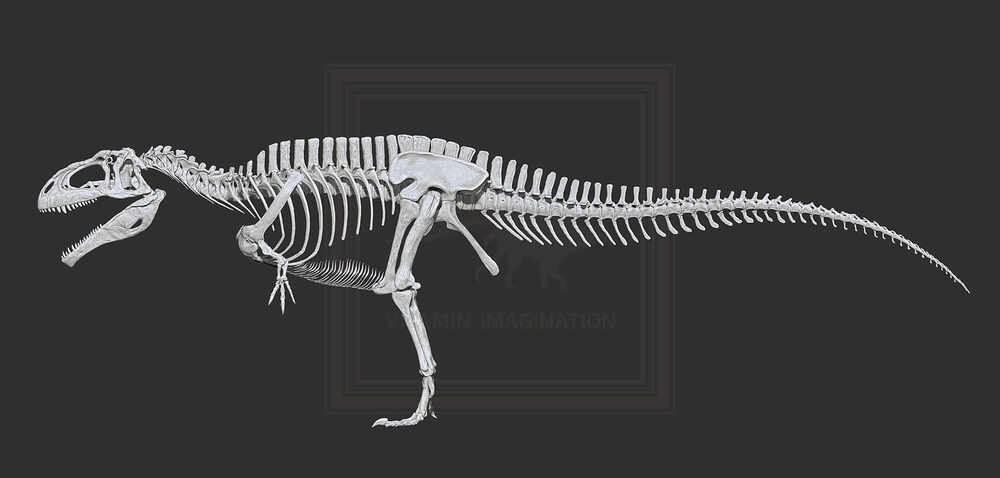 ZBrush Document7