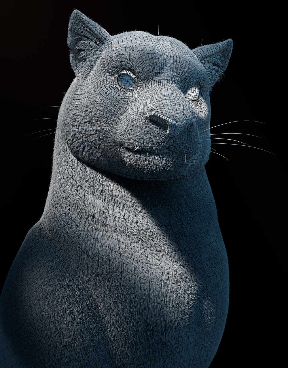 Wireframe