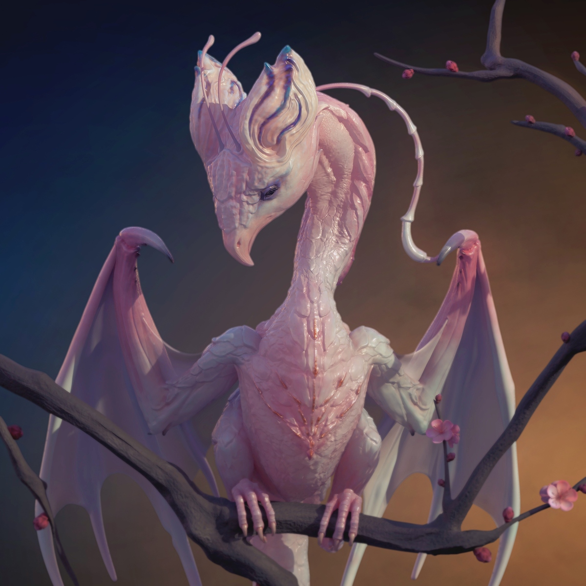 IMG_5374(20200429-001743)