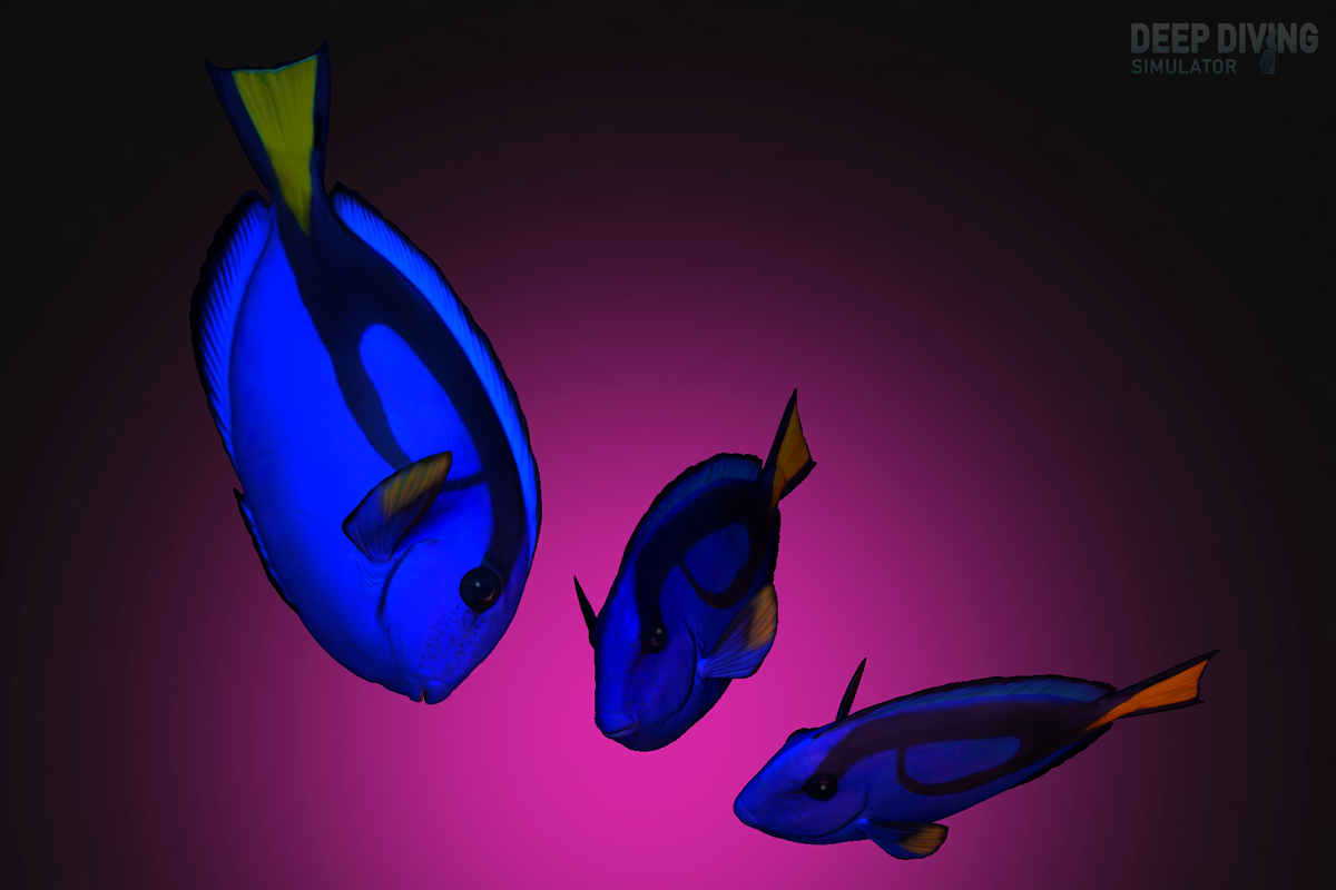 ParacanthurusHepatus_high_colored_r_001_FINAL