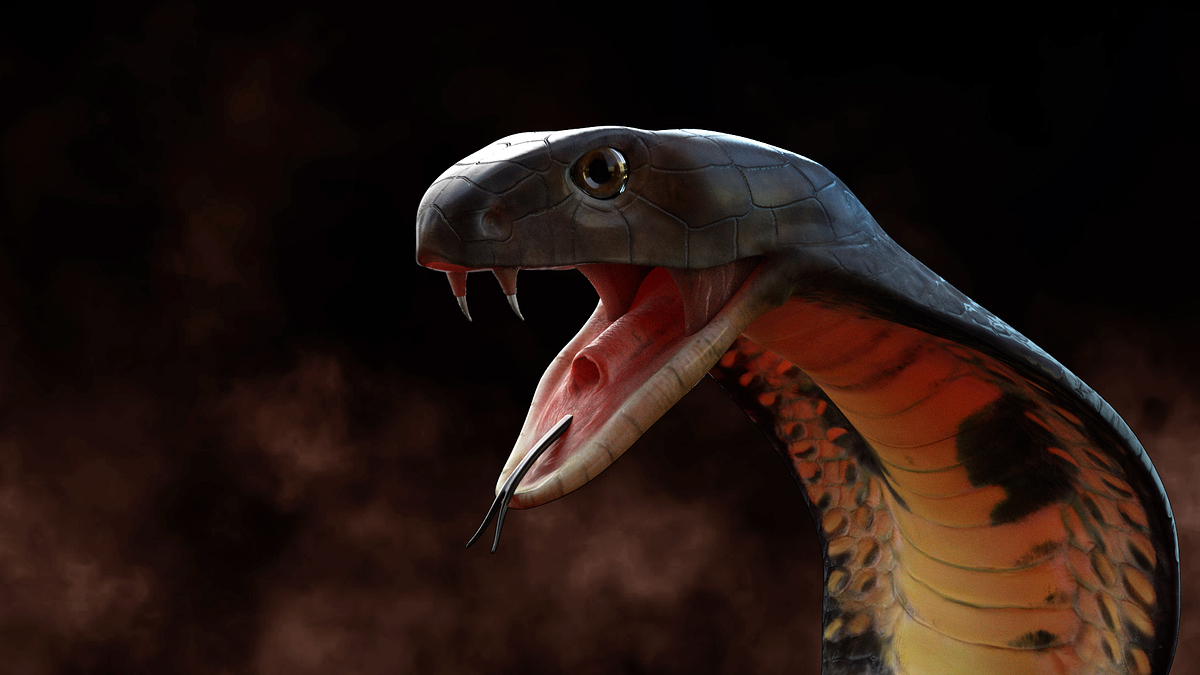 TEST_RENDER1