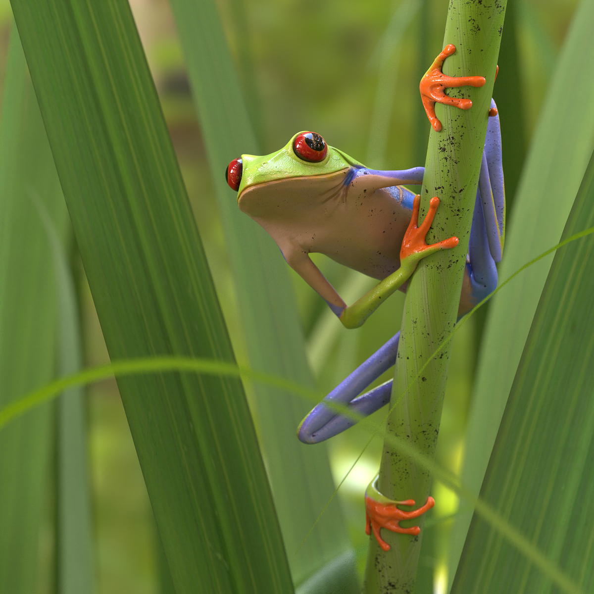 frog01